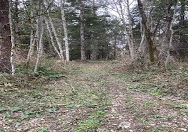 Photo 3 of Land for sale at 252 SE Xx Green Valley Rd, Black Diamond, WA 98010 | MLS# NWM2581841 | Listing updated on 2026-09-25