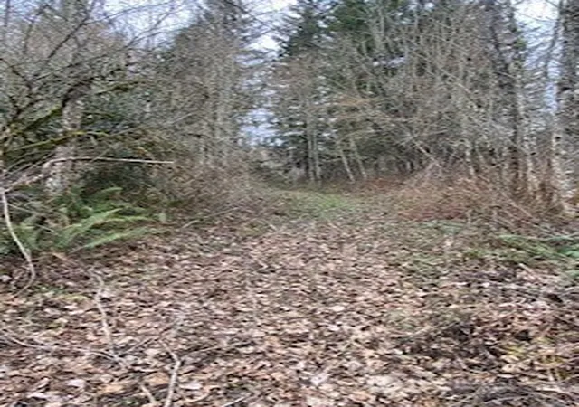 Photo 4 of Land for sale at 252 SE Xx Green Valley Rd, Black Diamond, WA 98010 | MLS# NWM2581841 | Listing updated on 2026-09-25