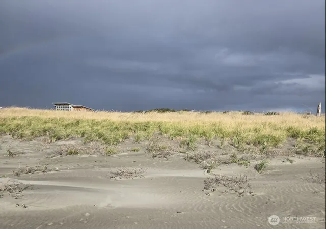 Photo 3 of Land for sale at 47 Xx State Route 105 S, Grayland, WA 98547 | MLS# NWM2581987 | Listing updated on 2026-09-25