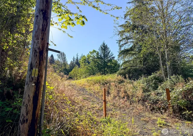 Photo 3 of Land for sale at 72 X Leland Valley Rd W, Quilcene, WA 98376 | MLS# NWM2581989 | Listing updated on 2026-09-25