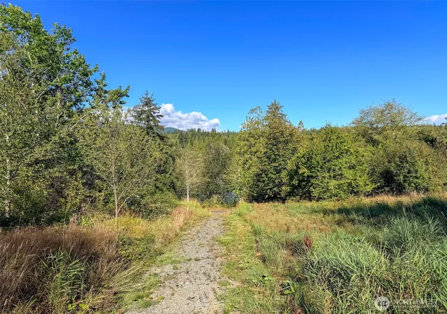 Photo 4 of Land for sale at 72 X Leland Valley Rd W, Quilcene, WA 98376 | MLS# NWM2581989 | Listing updated on 2026-09-25