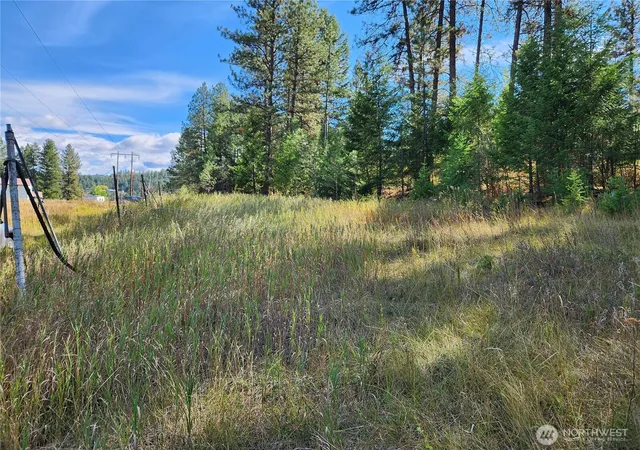 Photo 1 of Land for sale at 0 Tbd Pine Grv St, Republic, WA 99166 | MLS# NWM2582835 | Listing updated on 2026-09-25