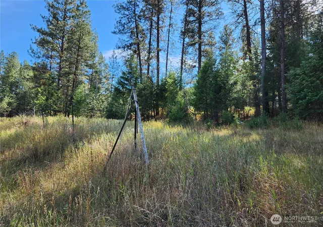 Photo 2 of Land for sale at 0 Tbd Pine Grv St, Republic, WA 99166 | MLS# NWM2582835 | Listing updated on 2026-09-25