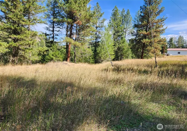 Photo 3 of Land for sale at 0 Tbd Pine Grv St, Republic, WA 99166 | MLS# NWM2582835 | Listing updated on 2026-09-25