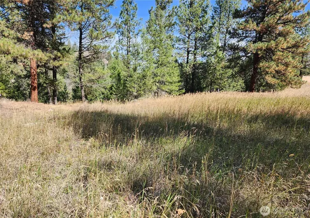 Photo 4 of Land for sale at 0 Tbd Pine Grv St, Republic, WA 99166 | MLS# NWM2582835 | Listing updated on 2026-09-25