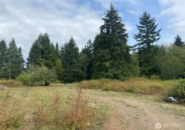 Photo 4 of Land for sale at 433 W Lucas Ln, Elma, WA 98541 | MLS# NWM2582886 | Listing updated on 2026-09-25