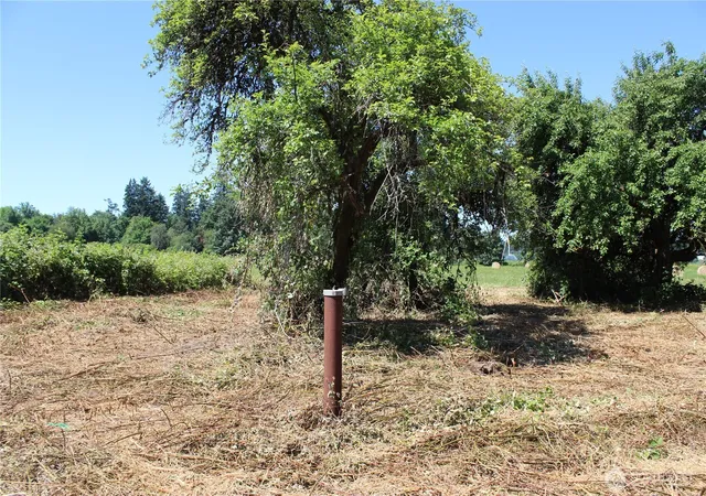 Photo 4 of Land for sale at 240 Elma Gate Rd, Oakville, WA 98568 | MLS# NWM2583083 | Listing updated on 2026-09-21