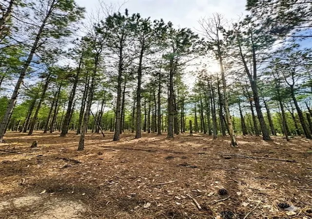 Photo 3 of Land for sale at 245 Green Mallard Trl, Broken Bow, OK 74728 | MLS# 1219080 | Listing updated on 2026-09-10