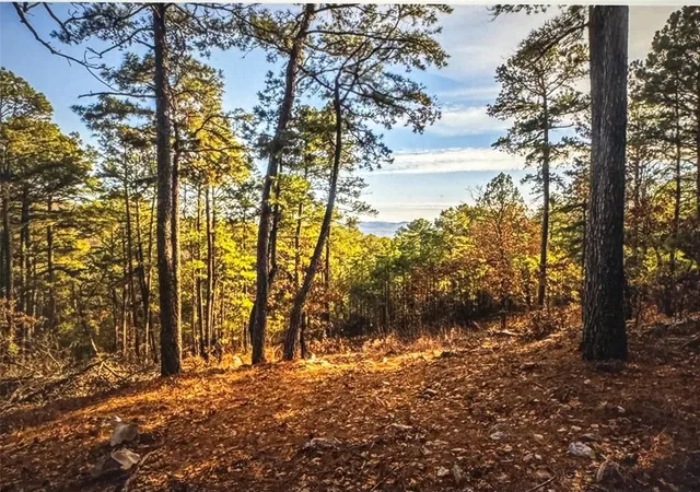 Land for sale at 177499 Box Springs Mountain Rd, Moyers, OK 74557 | MLS# 1230152