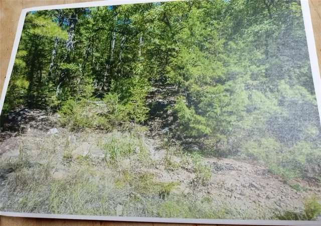 Photo 3 of Land for sale at 177499 Box Springs Mountain Rd, Moyers, OK 74557 | MLS# 1230152 | Listing updated on 2026-09-11