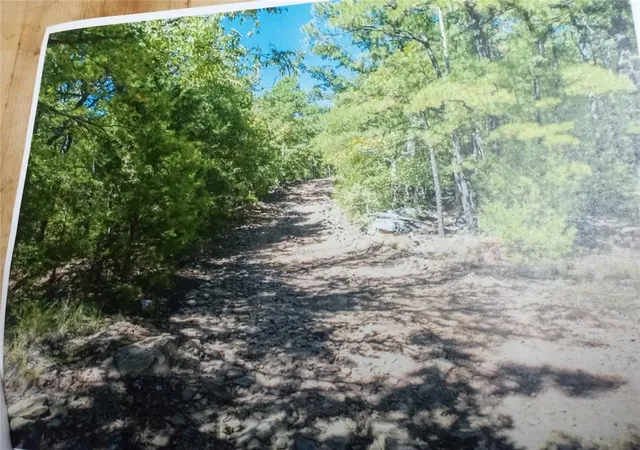 Photo 4 of Land for sale at 177499 Box Springs Mountain Rd, Moyers, OK 74557 | MLS# 1230152 | Listing updated on 2026-09-11