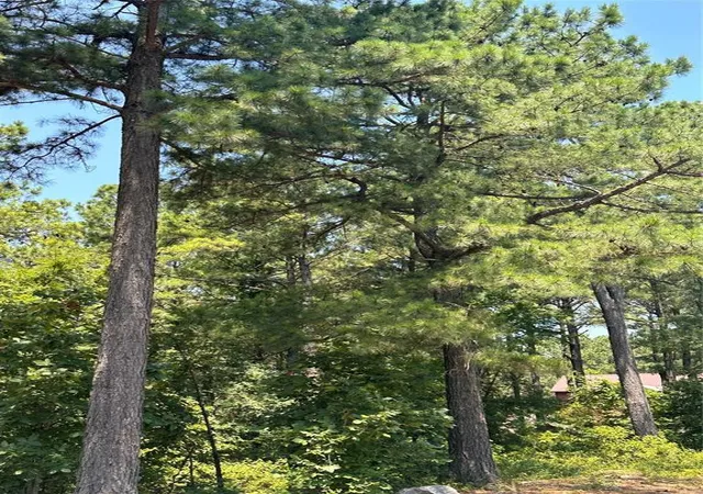 Photo 2 of Land for sale at 202 Crooked Cedar Trl, Broken Bow, OK 74728 | MLS# 1238551 | Listing updated on 2026-09-15