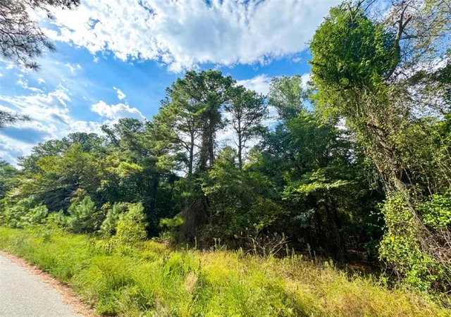 Photo 3 of Land for sale at 1238 Pine Hills Rd, Broken Bow, OK 74728 | MLS# 1248573 | Listing updated on 2026-09-14