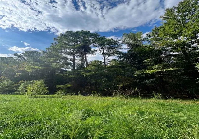 Photo 3 of Land for sale at 1238 Pine Hills Rd, Broken Bow, OK 74728 | MLS# 1248573 | Listing updated on 2026-09-14