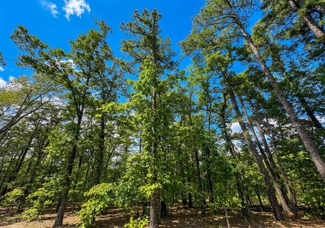 Photo 1 of Land for sale at 1054 Carter Mountain Trl, Broken Bow, OK 74728 | MLS# 1248585 | Listing updated on 2026-09-14