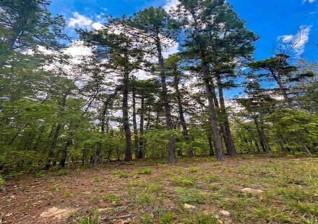 Photo 2 of Land for sale at 1054 Carter Mountain Trl, Broken Bow, OK 74728 | MLS# 1248585 | Listing updated on 2026-09-14