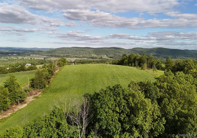 Land for sale at State Line Rd, Westtown, NY 10998 | MLS# 841987