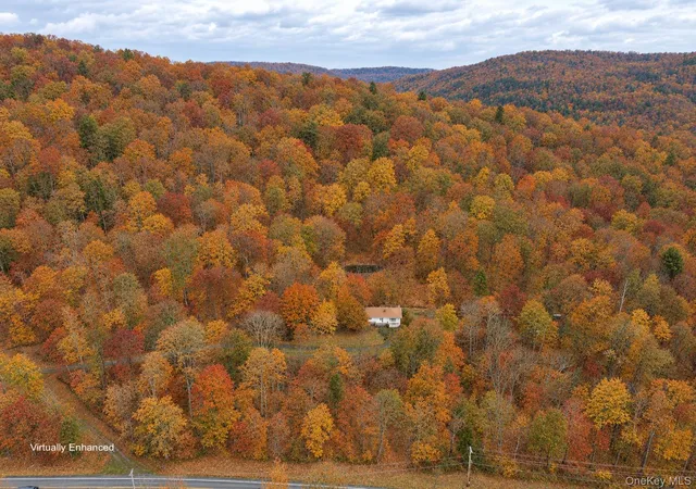 Photo 1 of Single family home for sale at 2220 Old Route 17, Roscoe, NY 12776 | MLS# 981464 | Listing updated on 2026-09-15