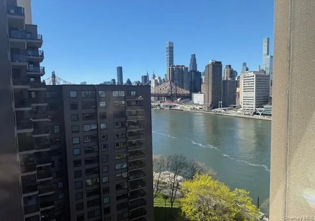 Photo 2 of Condo for sale at 531 Main St #1511, New York, NY 10044 | MLS# 984595 | Listing updated on 2026-09-12