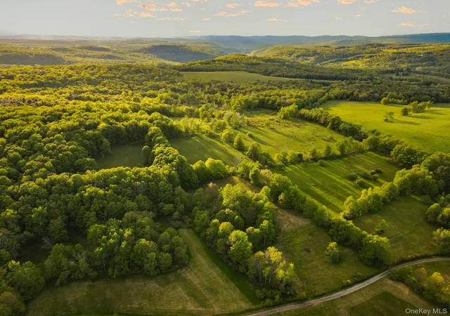 Photo 1 of Land for sale at 1 Hall Hl Rd, Liberty, NY 12768 | MLS# 985520 | Listing updated on 2026-09-11