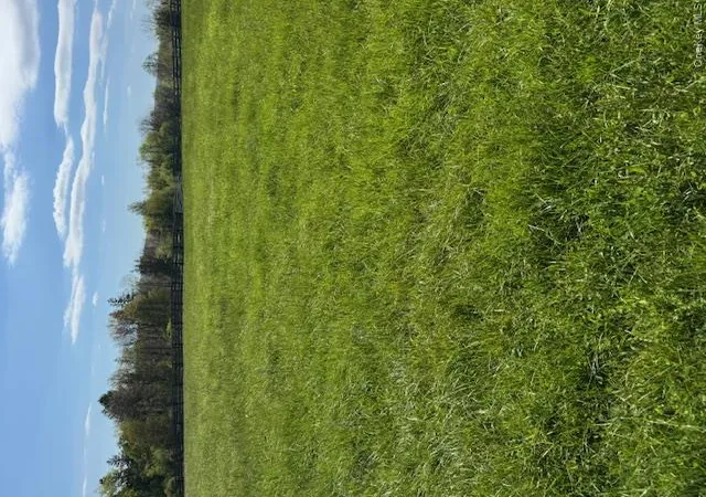 Photo 3 of Sale Pending at Four Corners Rd, Chester, NY 10918 | MLS# 995871 | Listing updated on 2026-09-10