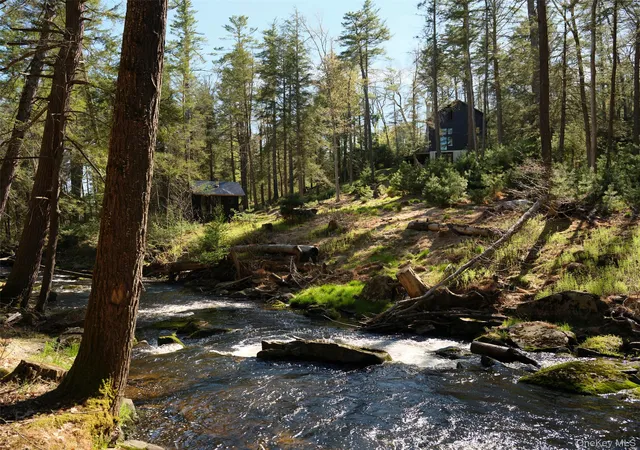 Photo 4 of Single family home for sale at 55 Woods Rd, Barryville, NY 12719 | MLS# 1002637 | Listing updated on 2026-09-14