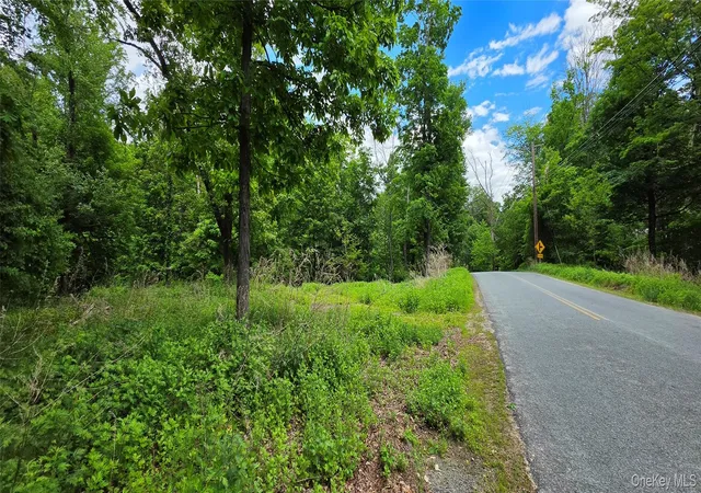 Photo 1 of Land for sale at (Undisclosed), Bloomingburg, NY 12721 | MLS# 1006332 | Listing updated on 2026-09-10