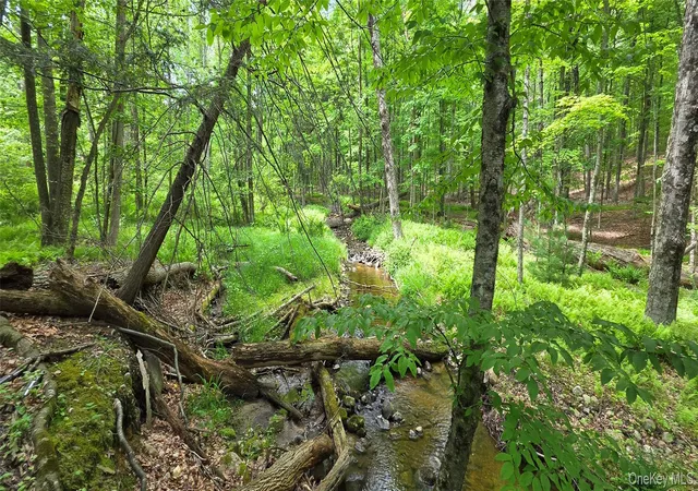 Photo 2 of Land for sale at (Undisclosed), Bloomingburg, NY 12721 | MLS# 1006332 | Listing updated on 2026-09-10