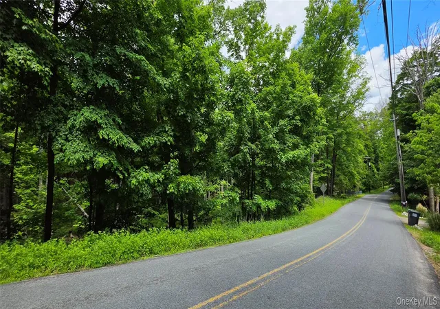 Photo 3 of Land for sale at (Undisclosed), Bloomingburg, NY 12721 | MLS# 1006332 | Listing updated on 2026-09-10