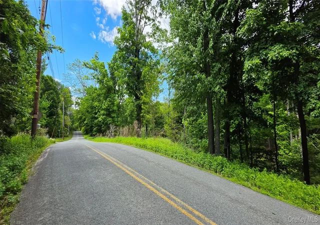 Photo 3 of Land for sale at (Undisclosed), Bloomingburg, NY 12721 | MLS# 1006332 | Listing updated on 2026-09-10