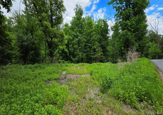 Photo 4 of Land for sale at (Undisclosed), Bloomingburg, NY 12721 | MLS# 1006332 | Listing updated on 2026-09-10