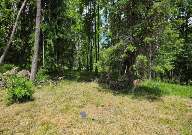 Photo 2 of Land for sale at 208 Parksville Rd, Parksville, NY 12768 | MLS# 1009467 | Listing updated on 2026-09-15