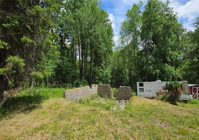 Photo 3 of Land for sale at 208 Parksville Rd, Parksville, NY 12768 | MLS# 1009467 | Listing updated on 2026-09-15