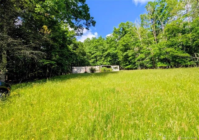 Photo 1 of Manufactured home for sale at 0 State Route 97, Narrowsburg, NY 12764 | MLS# 1010764 | Listing updated on 2026-09-12