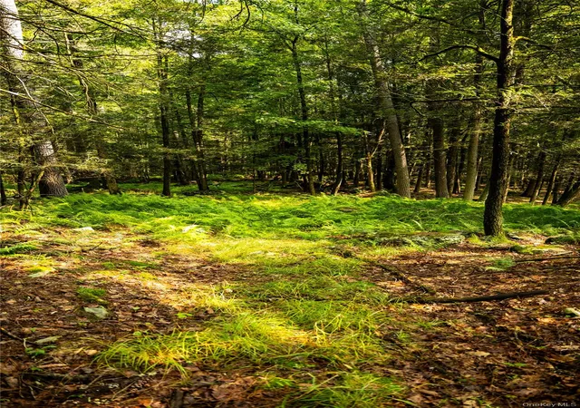 Photo 2 of Land for sale at Dewitt Rd, Rochester, NY 12461 | MLS# 1033413 | Listing updated on 2026-09-12