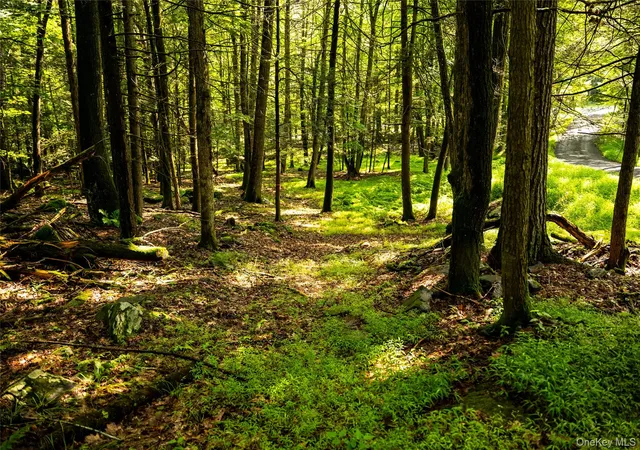 Photo 3 of Land for sale at Dewitt Rd, Rochester, NY 12461 | MLS# 1033413 | Listing updated on 2026-09-12