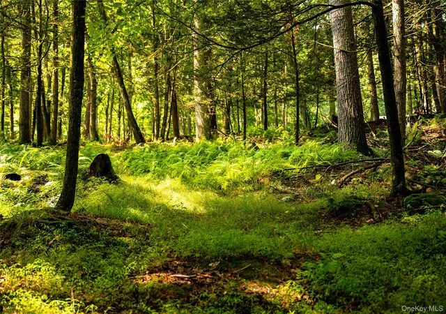 Photo 3 of Land for sale at Dewitt Rd, Rochester, NY 12461 | MLS# 1033413 | Listing updated on 2026-09-12
