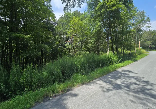 Photo 2 of Land for sale at Knickerbocker Rd, Rockland, NY 12758 | MLS# 1039494 | Listing updated on 2026-10-05