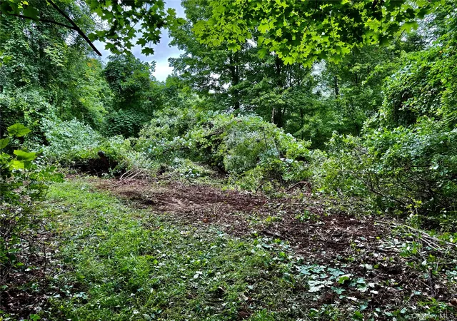 Photo 3 of Land for sale at Weaver Road, Livingston, NY 12523 | MLS# 1043805 | Listing updated on 2026-09-11