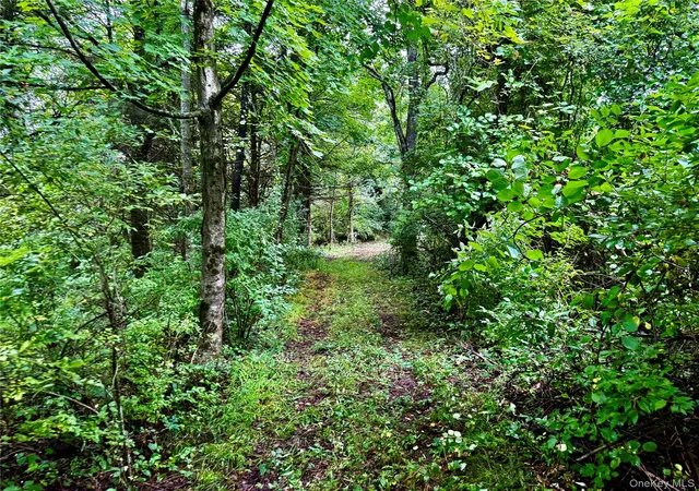 Photo 4 of Land for sale at Weaver Road, Livingston, NY 12523 | MLS# 1043805 | Listing updated on 2026-09-11