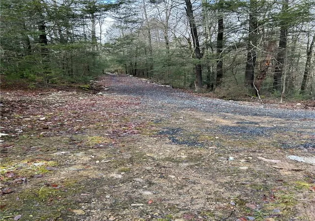 Photo 2 of Land for sale at 145 Brandt Rd, Deerpark, NY 12729 | MLS# 1049079 | Listing updated on 2026-09-11