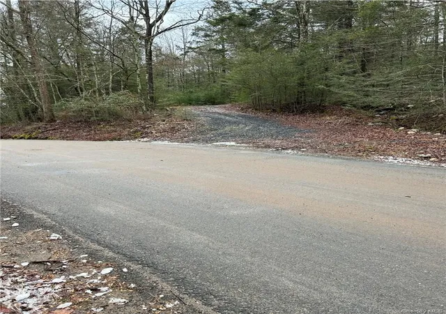 Photo 3 of Land for sale at 145 Brandt Rd, Deerpark, NY 12729 | MLS# 1049079 | Listing updated on 2026-09-11
