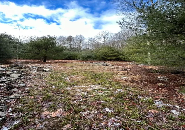 Photo 3 of Land for sale at 145 Brandt Rd, Deerpark, NY 12729 | MLS# 1049079 | Listing updated on 2026-09-11