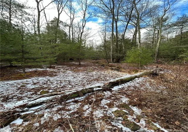 Photo 3 of Land for sale at 143 Brandt Rd, Deerpark, NY 12729 | MLS# 1049080 | Listing updated on 2026-09-11