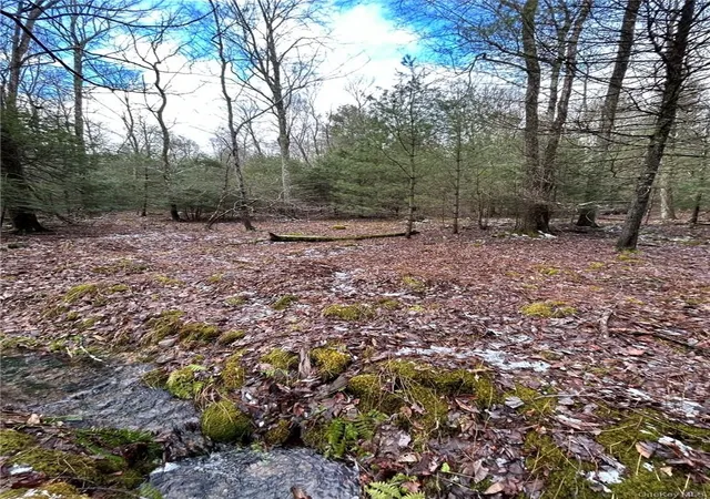 Photo 4 of Land for sale at 143 Brandt Rd, Deerpark, NY 12729 | MLS# 1049080 | Listing updated on 2026-09-11