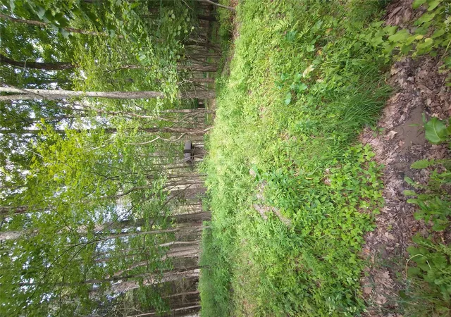 Photo 2 of Land for sale at Old Loomis Rd, Liberty, NY 12734 | MLS# 1050222 | Listing updated on 2026-09-14