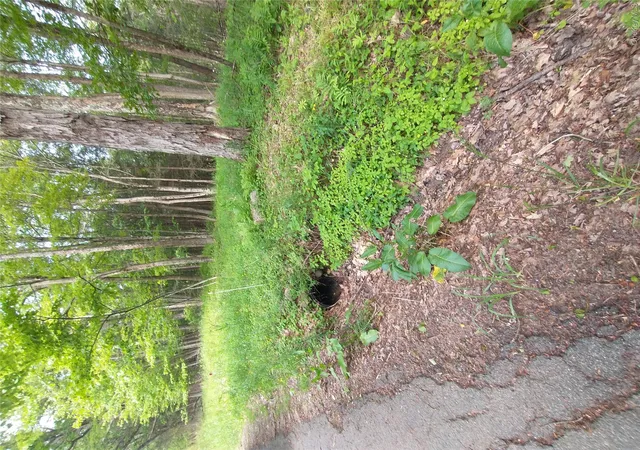 Photo 3 of Land for sale at Old Loomis Rd, Liberty, NY 12734 | MLS# 1050222 | Listing updated on 2026-09-14