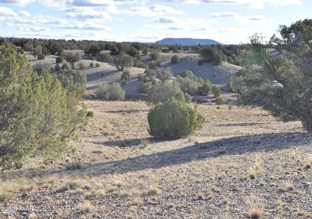 Photo 1 of Land for sale at Lot690&691 691 Cr 5270 (old Hunt Rd) Rwm, Concho, AZ 85924 | MLS# 1078532 | Listing updated on 2026-09-10
