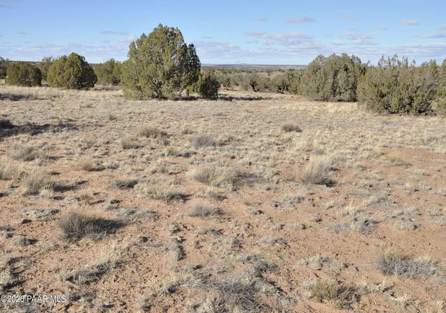 Photo 2 of Land for sale at Lot690&691 691 Cr 5270 (old Hunt Rd) Rwm, Concho, AZ 85924 | MLS# 1078532 | Listing updated on 2026-09-10