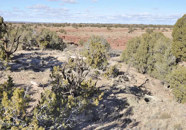 Photo 3 of Land for sale at Lot690&691 691 Cr 5270 (old Hunt Rd) Rwm, Concho, AZ 85924 | MLS# 1078532 | Listing updated on 2026-09-10